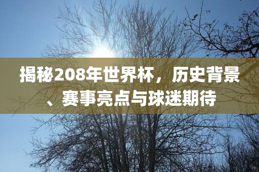 揭秘208年世界杯，历史背景、赛事亮点与球迷期待