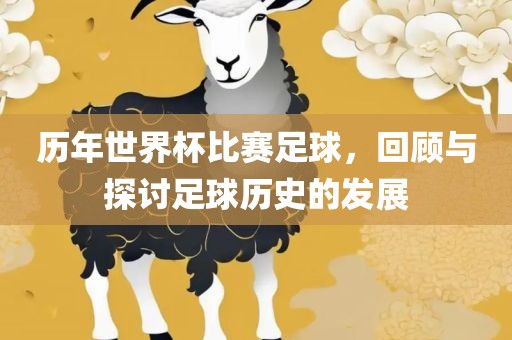历年世界杯比赛足球，回顾与探讨足球历史的发展