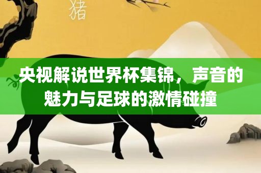央视解说世界杯集锦，声音的魅力与足球的激情碰撞