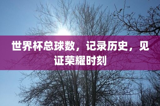 世界杯总球数，记录历史，见证荣耀时刻