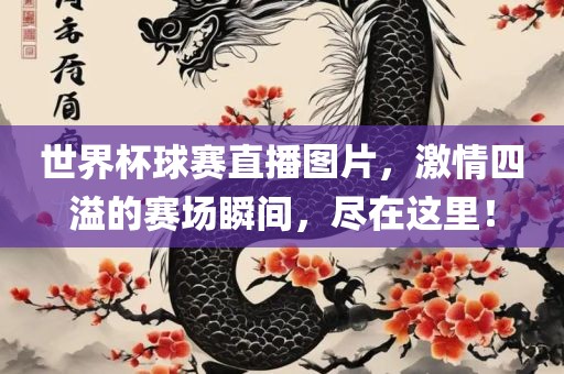 世界杯球赛直播图片，激情四溢的赛场瞬间，尽在这里！