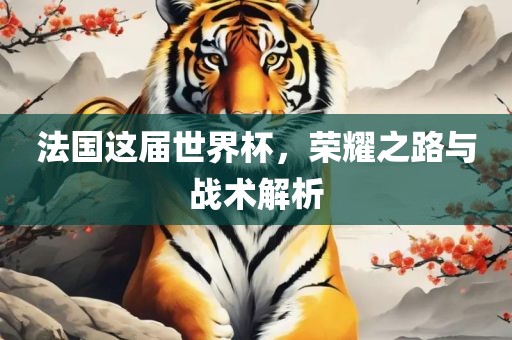 法国这届世界杯，荣耀之路与战术解析