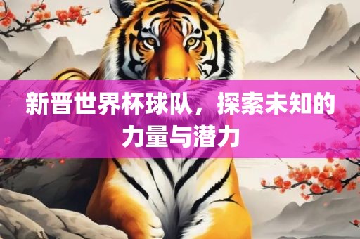 新晋世界杯球队，探索未知的力量与潜力