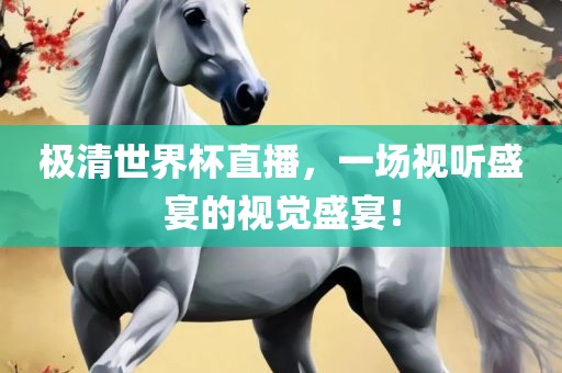 极清世界杯直播，一场视听盛宴的视觉盛宴！