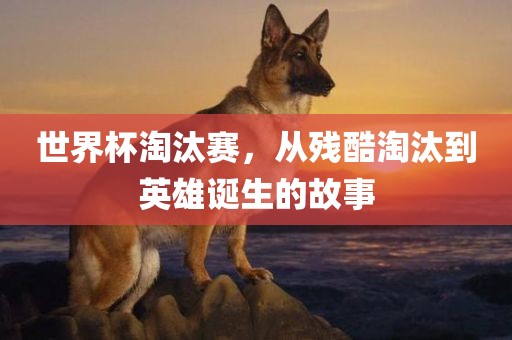 世界杯淘汰赛，从残酷淘汰到英雄诞生的故事