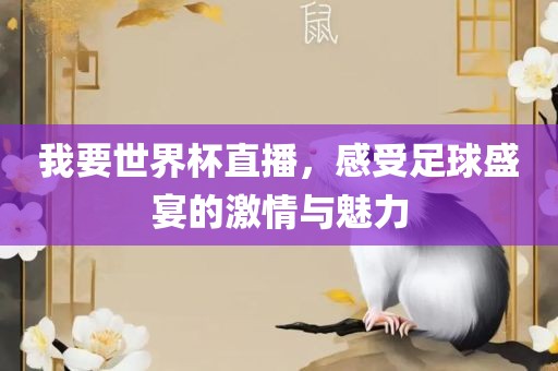 我要世界杯直播，感受足球盛宴的激情与魅力