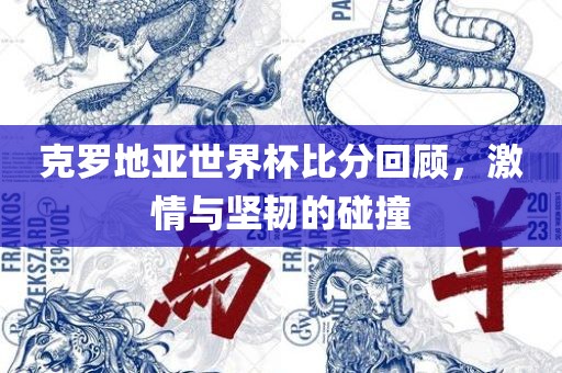 克罗地亚世界杯比分回顾，激情与坚韧的碰撞漯河市盈旭机械设备有限公司