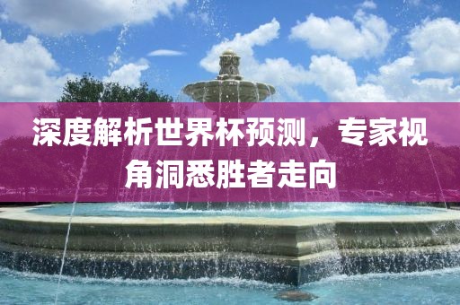 深度解析世界杯预测，专家视角洞悉胜者走向