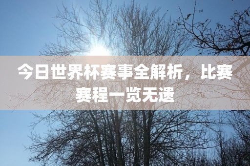 今日世界杯赛事全解析，比赛赛程一览无遗