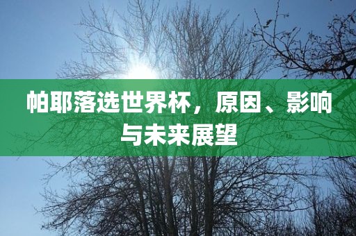 帕耶落选世界杯，原因、影响与未来展望