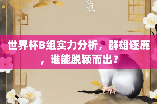 世界杯B组实力分析，群雄逐鹿，谁能脱颖而出？