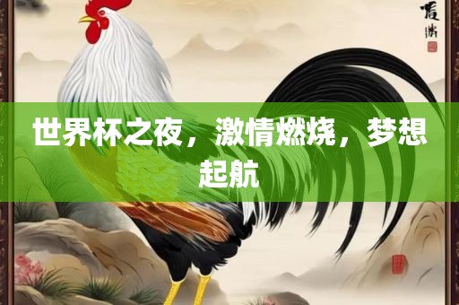 世界杯之夜，激情燃烧，梦想起航