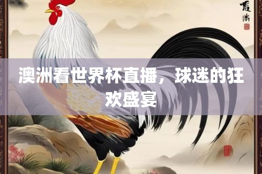 澳洲看世界杯直播，球迷的狂欢盛宴漯河市盈旭机械设备有限公司