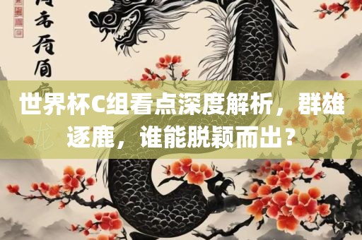 世界杯C组看点深度解析，群雄逐鹿，谁能脱颖而出？
