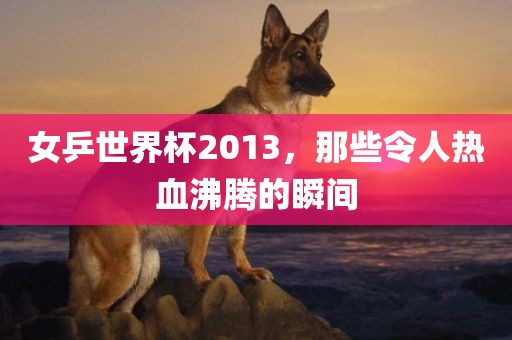 女乒世界杯2013，那些令人热血沸腾的瞬间漯河市盈旭机械设备有限公司