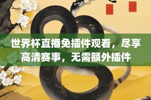 世界杯直播免插件观看，尽享高清赛事，无需额外插件