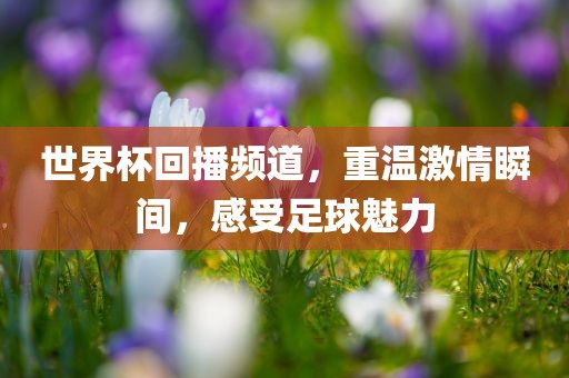 世界杯回播频道，重温激情瞬间，感受足球魅力