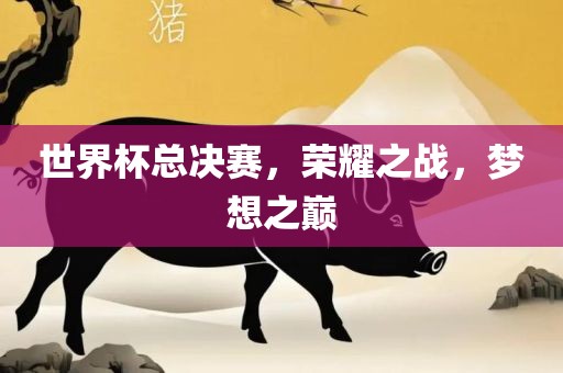 世界杯总决赛，荣耀之战，梦想之巅