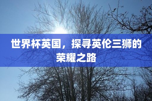 世界杯英国，探寻英伦三狮的荣耀之路