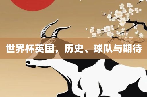 世界杯英国，历史、球队与期待