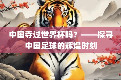 中国夺过世界杯吗？——探寻中国足球的辉煌时刻