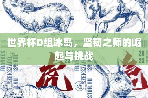 世界杯D组冰岛，坚韧之师的崛起与挑战
