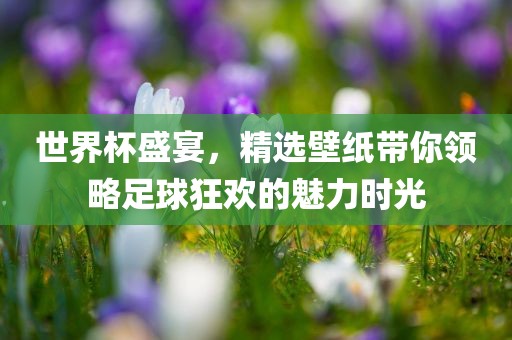 世界杯盛宴，精选壁纸带你领略足球狂欢的魅力时光