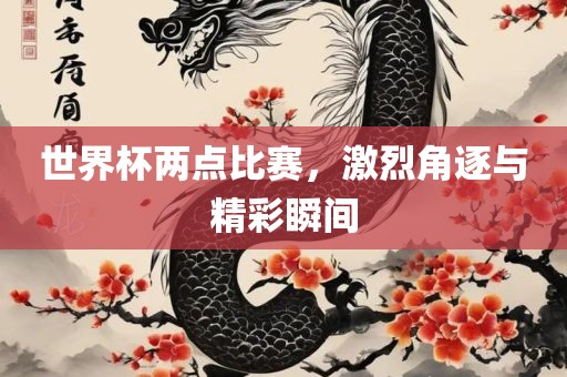 世界杯两点比赛，激烈角逐与精彩瞬间