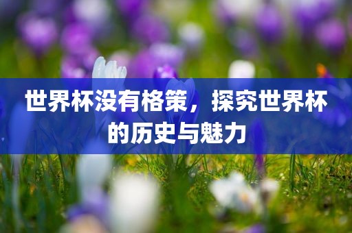 世界杯没有格策，探究世界杯的历史与魅力