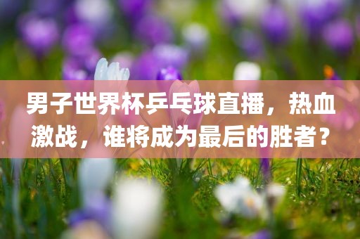 男子世界杯乒乓球直播，热血激战，谁将成为最后的胜者？