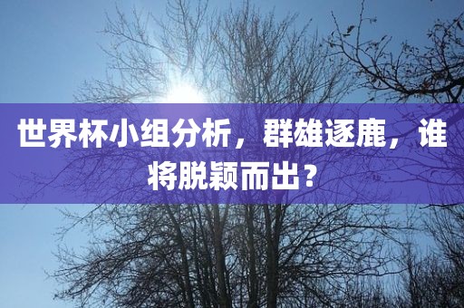 世界杯小组分析，群雄逐鹿，谁将脱颖而出？