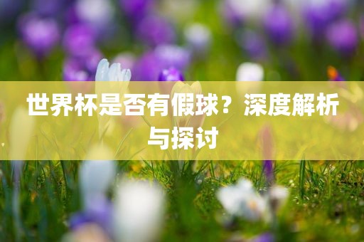 世界杯是否有假球？深度解析与探讨