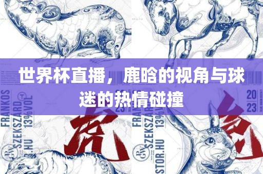 世界杯直播，鹿晗的视角与球迷的热情碰撞