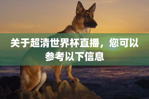 直播信息