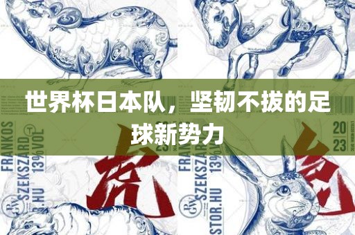 世界杯日本队，坚韧不拔的足球新势力