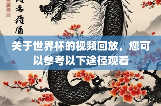 关于世界杯的视频回放，您可以参考以下途径观看
