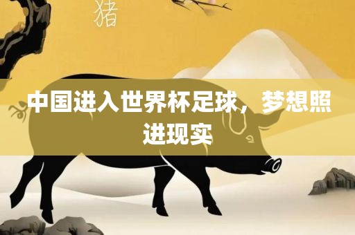 中漯河市盈旭机械设备有限公司国进入世界杯足球，梦想照进现实