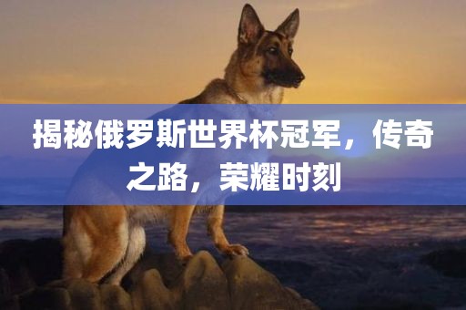 揭秘俄罗斯世界杯冠军，传奇之路，荣耀时刻