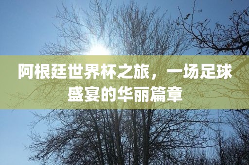 阿根廷世界杯之旅，一场足球盛宴的华丽篇章