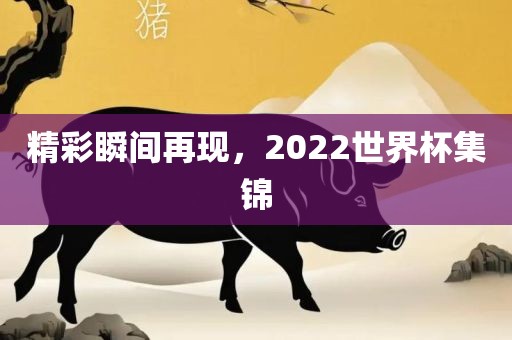 精彩瞬间再现，2022世界杯集锦