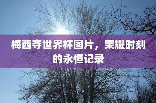 梅西夺世界杯图片，荣耀时刻的永恒记录