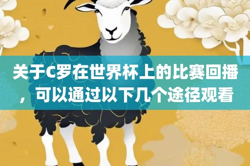 关于C罗在世界杯上的比赛回播，可以通过以下几个途径观看