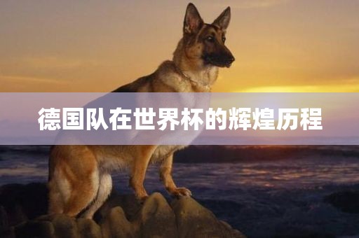 德国队在世界杯的辉煌历程漯河市盈旭机械设备有限公司