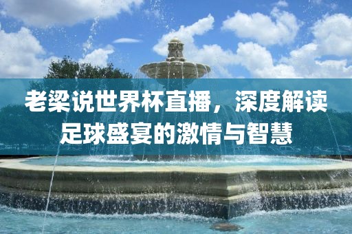 老梁说世界杯直播，深度解读足球盛宴的激情与智慧