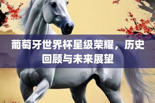 历史回顾与未来展望