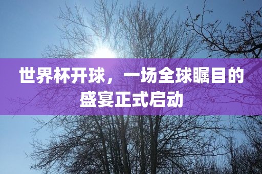 世界杯开球，一场全球瞩目的盛宴正式启动漯河市盈旭机械设备有限公司