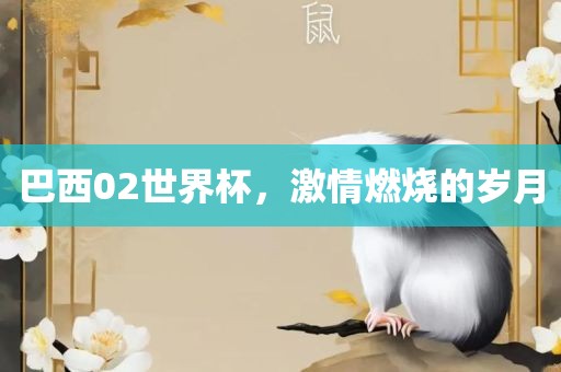 巴西02世界杯，激情燃烧的岁月