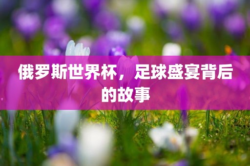 俄罗斯世界杯，足球盛宴背后的故事