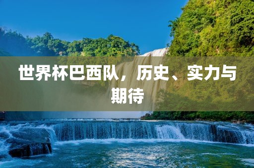 世界杯巴西队，历史、实力与期待