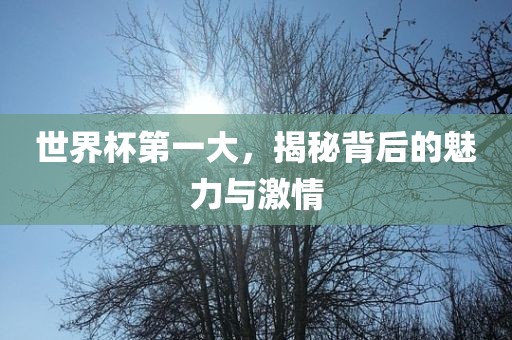 世界杯第一大，揭秘背漯河市盈旭机械设备有限公司后的魅力与激情